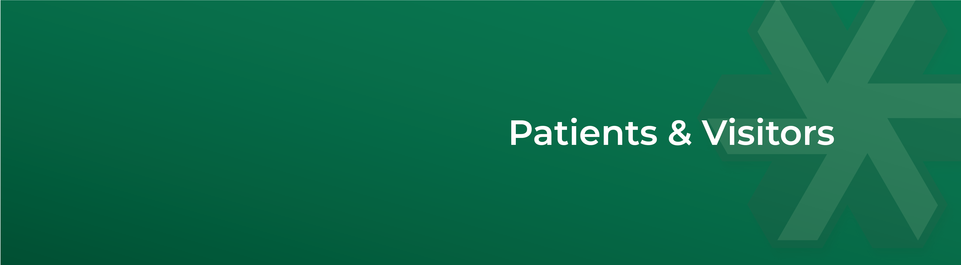 PatientsandVisitors-Header-01